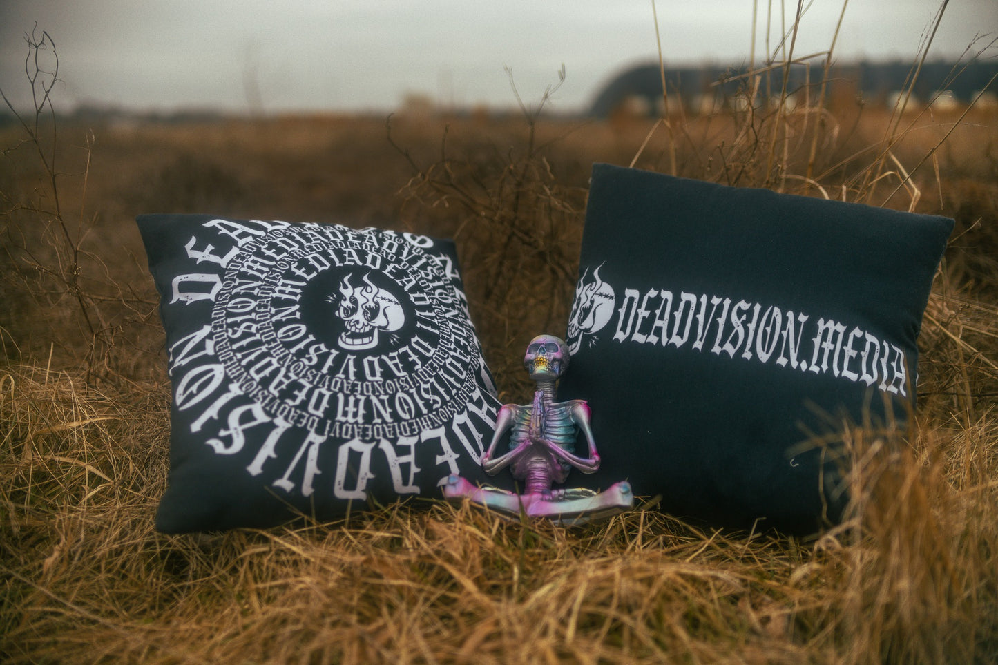 "Spiraling" Logo Pillow