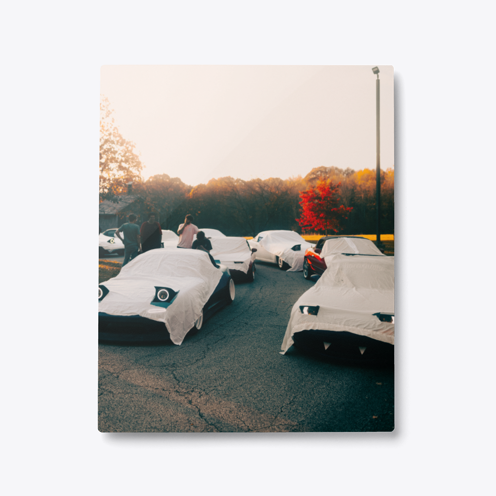 Metal Photo Prints
